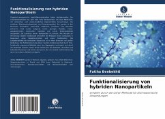 Funktionalisierung von hybriden Nanopartikeln - Benbekhti, Fatiha