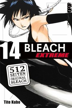 Bleach Extreme Bd.14 - Kubo, Tite