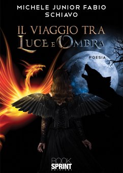 Il viaggio tra luce e ombra (eBook, PDF) - Junior Fabio Schiavo, Michele