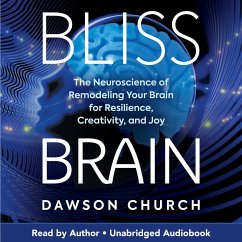 Bliss Brain (MP3-Download) - Church, Dawson