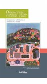 Ordenación del territorio, ciudad y derecho urbano: competencias, instrumentos de planificación y desafíos (eBook, ePUB)