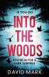 Into the Woods (eBook, ePUB) - Bild 1
