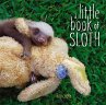 A Little Book of Sloth (eBook, ePUB) - Bild 1