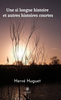 Une si longue histoire et autres histoires courtes (eBook, ePUB) - Huguet, Hervé