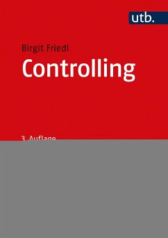 Controlling - Friedl, Birgit