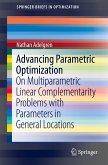 Advancing Parametric Optimization