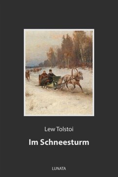 Im Schneesturm (eBook, ePUB) - Tolstoi, Lew