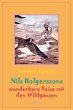 Nils Holgerssons wunderbare Reise mit... - Bild 1