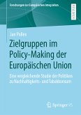 Zielgruppen im Policy-Making der Europäischen Union (eBook, PDF)