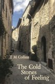 The Cold Stones of Feeling (eBook, ePUB)