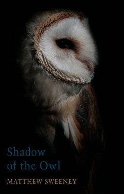 Shadow of the Owl (eBook, ePUB) - Sweeney, Matthew