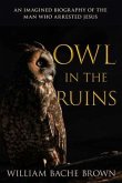 Owl in the Ruins (eBook, ePUB)