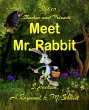Shadow and Friends Meet Mr. Rabbit... - Bild 1