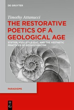 The Restorative Poetics of a Geological Age (eBook, PDF) - Attanucci, Timothy