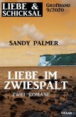 Liebe im Zwiespalt: Liebe & Schicksal Großband 9/2020 (eBook, ePUB)