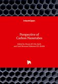 Perspective of Carbon Nanotubes