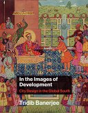 In the Images of Development (eBook, ePUB)
