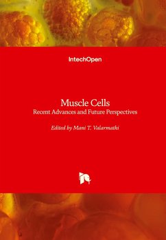 Muscle Cells