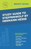 Study Guide to Steppenwolf by Hermann Hesse (eBook, ePUB)