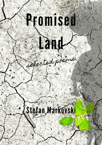 Promised Land (eBook, ePUB)
