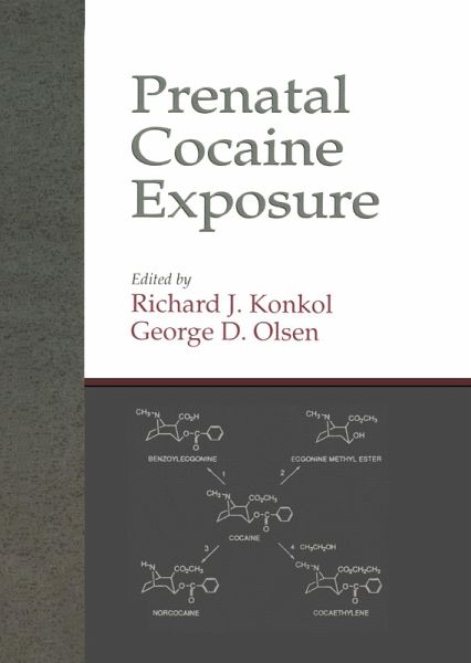 Prenatal Cocaine Exposure (eBook, PDF)