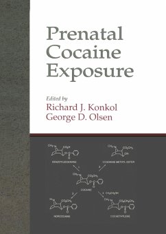 Prenatal Cocaine Exposure (eBook, ePUB) - Konkol, Richard J.; Olsen, George D.