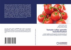 Tomato callus genetic transformation - Proaño Tuma, Karina;Jadán Guerrero, Mónica;Dorca Fornell, M. Carmen