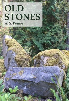 Old Stones (eBook, ePUB) - Penne, A. S.