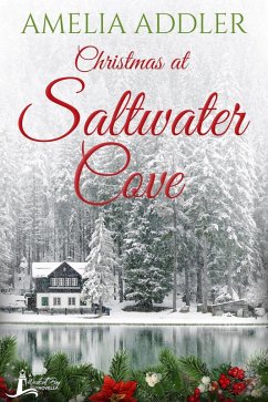 Cover Christmas at Saltwater Cove (eBook, ePUB)