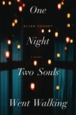 One Night Two Souls Went Walking (eBook, ePUB)