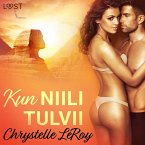Kun Niili tulvii - eroottinen novelli (MP3-Download)