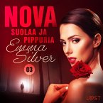 Nova 3: Suolaa ja pippuria - eroottinen novelli (MP3-Download)