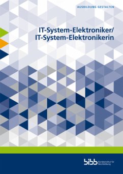 IT-System-Elektroniker/IT-System-Elektronikerin - Blachnik, Gerd;Damir Benkovic;Manuela Neumann