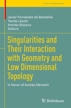 Singularities and Their Interaction with Geometry and Low Dimensional Topology