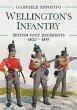 Wellington's Infantry - Bild 1