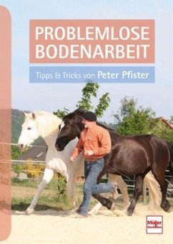 Problemlose Bodenarbeit   (Mängelexemplar) - Pfister, Peter