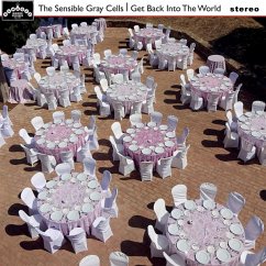 Get Back Into The World - Sensible Gray Cells,The