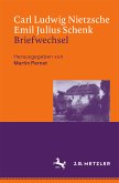 Carl Ludwig Nietzsche / Emil Julius Schenk – Briefwechsel (eBook, PDF)