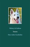 Sanara (eBook, ePUB)