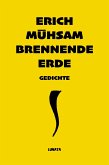 Brennende Erde (eBook, ePUB)