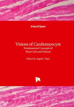 Visions of Cardiomyocyte