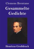 Gesammelte Gedichte (Großdruck)