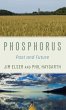 Phosphorus - Bild 1