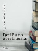 Drei Essays über Literatur (eBook, ePUB)