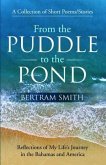 From the Puddle to the Pond (eBook, ePUB)