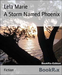 A Storm Named Phoenix (eBook, ePUB) - Marie, Lela