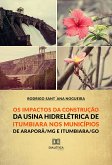 Os Impactos da Construção da Usina Hidroelétrica de Itumbiara nos municípios de Araporã/MG e Itumbiara/GO (eBook, ePUB)