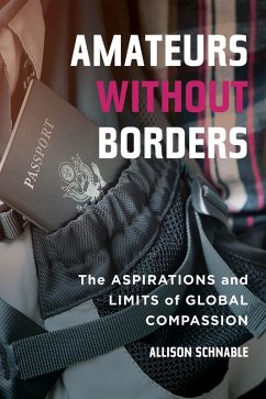 Amateurs without Borders (eBook, ePUB) - Schnable, Allison