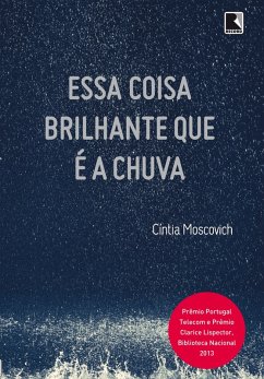 Cover Essa coisa brilhante que é a chuva (eBook, ePUB)