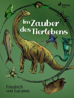 Im Zauber des Tierlebens (eBook, ePUB) - Lucanus, Friedrich Von